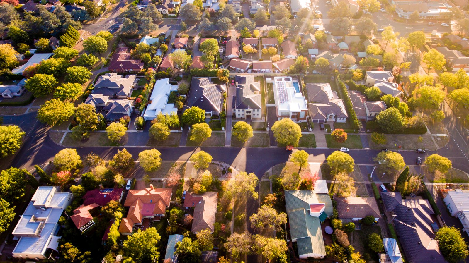 Aerial view of a green leafy suburb